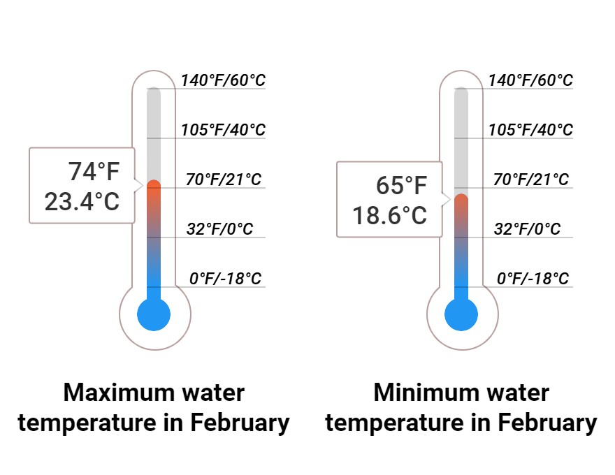 What to do in February in Mazatlan, Mexico 2025 Winter Sun Expert